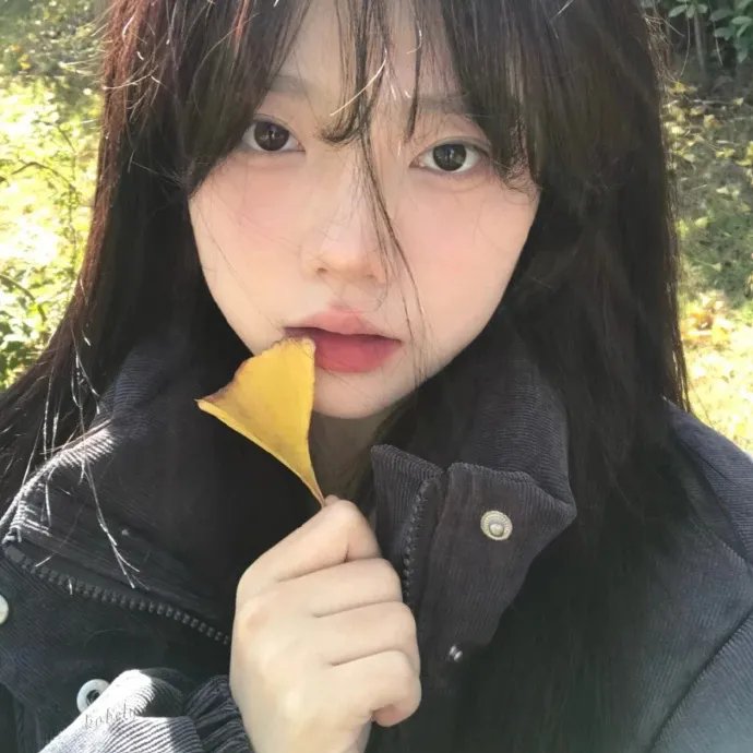 查克拉